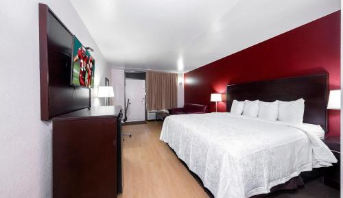  Suite King Room Smoke Free