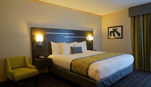 King Suite with Sofa Bed - Non-Smoking