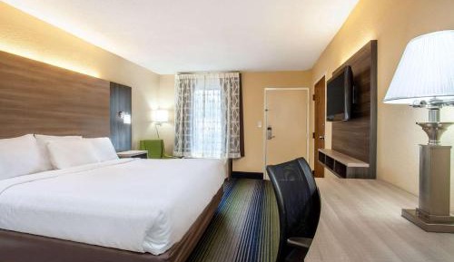 1 King Bed, Deluxe Room, Non-Smoking