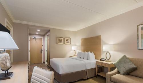 Queen Suite with Sofa Bed