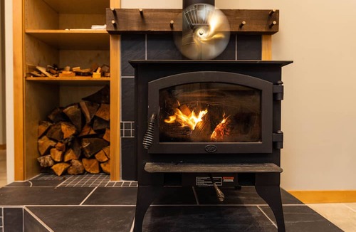Warnick Cabin | Cozy mountain retreat in the forest-close to Mt Baker Ski Area and pet friendly!