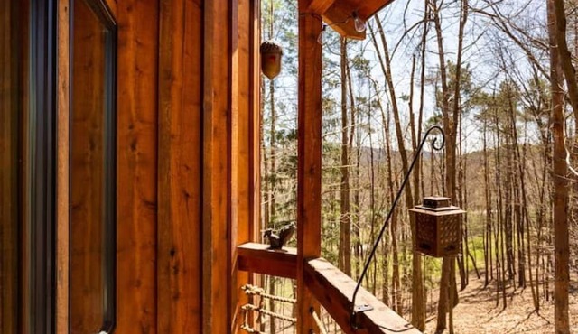 Out On A Limb - A Magical Treehouse Experience