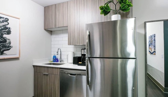 Downtown Mich Ave - 6 Penthouses, Sleep 25 in Chicago